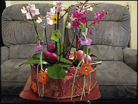 www.floristic.ru - .   