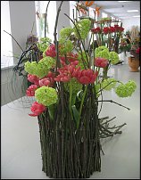 www.floristic.ru - .   ""