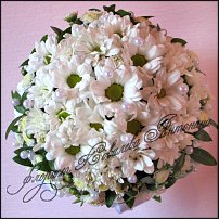 www.floristic.ru - .  .