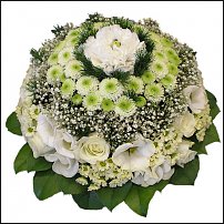 www.floristic.ru - .  .