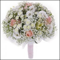 www.floristic.ru - .  .