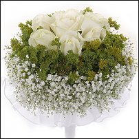 www.floristic.ru - .  .