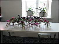 www.floristic.ru - .   ""