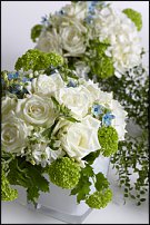 www.floristic.ru - . -     "   " 25.03.2008