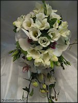 www.floristic.ru - .  .