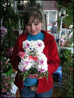 www.floristic.ru - .   ....