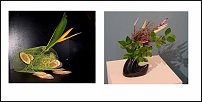 www.floristic.ru - .  . .    .