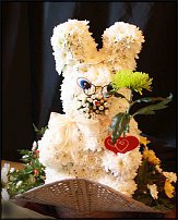 www.floristic.ru - .   ....