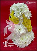 www.floristic.ru - .   ....