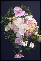 www.floristic.ru - .  .