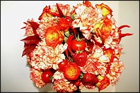 www.floristic.ru - . , ....