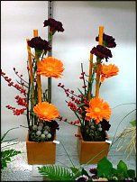 www.floristic.ru - .       - ?