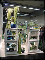 www.floristic.ru - .       - ?