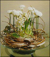 www.floristic.ru - . Hyacinthus - 