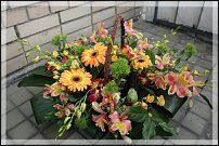 www.floristic.ru - . ,  .