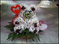 www.floristic.ru - .   ....