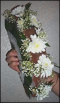 www.floristic.ru - .  .