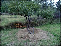 www.floristic.ru - . Land Art