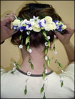 www.floristic.ru - .  .