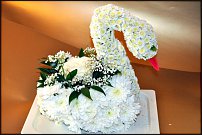 www.floristic.ru - .   ....