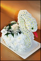 www.floristic.ru - .   ....