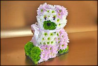 www.floristic.ru - .   ....