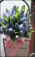 www.floristic.ru - .  .