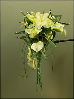 www.floristic.ru - .  .