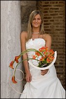 www.floristic.ru - .  .