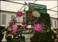 www.floristic.ru - . CHELSEA FLOWER SHOW, United Kingdom