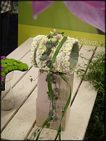 www.floristic.ru - . !!!!!