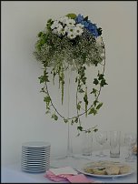 www.floristic.ru - .  .