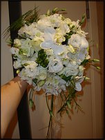 www.floristic.ru - .  .