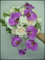 www.floristic.ru - .  .