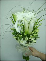 www.floristic.ru - .  .