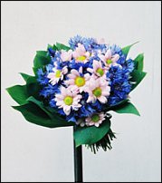 www.floristic.ru - .  .