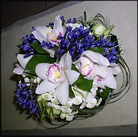 www.floristic.ru - .  .