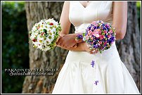 www.floristic.ru - .  .