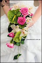 www.floristic.ru - .  .