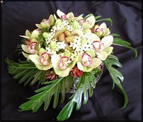 www.floristic.ru - .  .