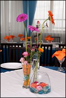 www.floristic.ru - .  .