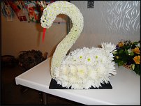 www.floristic.ru - .   ....