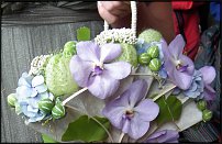 www.floristic.ru - .  .