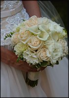 www.floristic.ru - . !!!!!