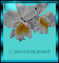 www.floristic.ru - .    !