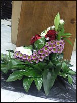 www.floristic.ru - .   ....