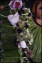 www.floristic.ru - .       , 