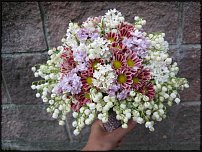 www.floristic.ru - .  .