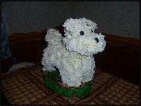 www.floristic.ru - .   ....