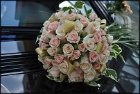 www.floristic.ru - .  .